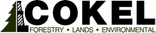 Cokel Forestry Land Environmental