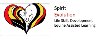 Mane Attraction Stables & Spirit Evolution Equine Assisted Skills Development and Learning